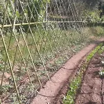 La Fattoria Di Nonna Eugenia Леричи