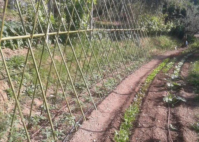La Fattoria Di Nonna Eugenia Lerici