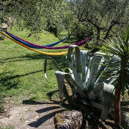 La Fattoria Di Nonna Eugenia Lerici