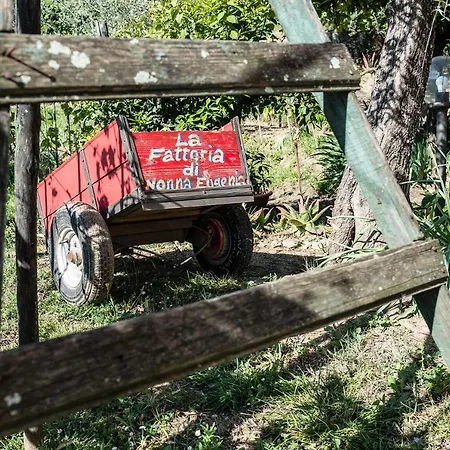 Bed & Breakfast La Fattoria Di Nonna Eugenia *