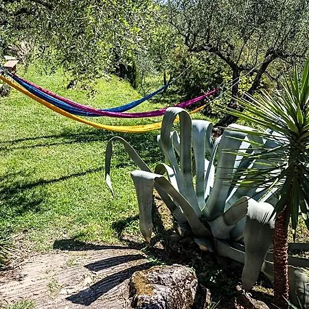 Alojamento de Acomodação e Pequeno-almoço La Fattoria Di Nonna Eugenia 3*