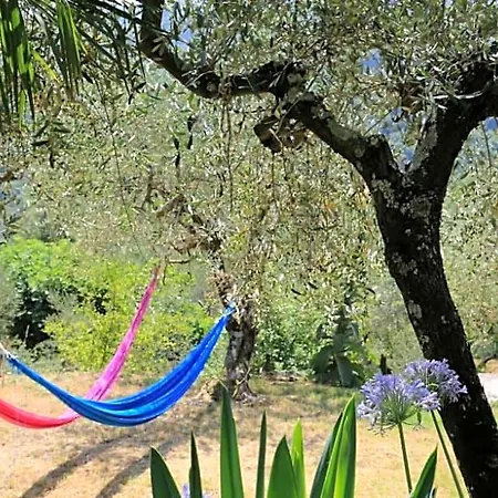 La Fattoria Di Nonna Eugenia فندق مبيت وإفطار ليريسي