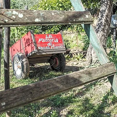 La Fattoria Di Nonna Eugenia فندق مبيت وإفطار 3*
