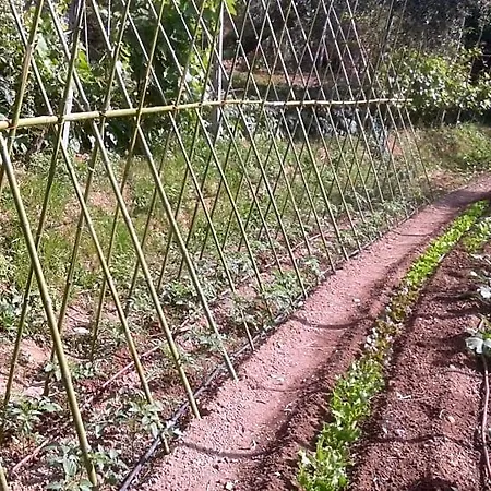 La Fattoria Di Nonna Eugenia