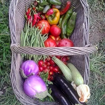 La Fattoria Di Nonna Eugenia