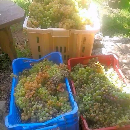 La Fattoria Di Nonna Eugenia 3*