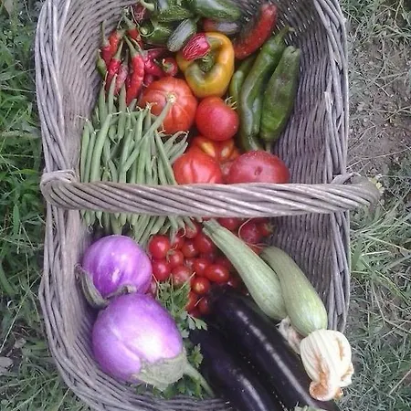 Alojamento de Acomodação e Pequeno-almoço La Fattoria Di Nonna Eugenia