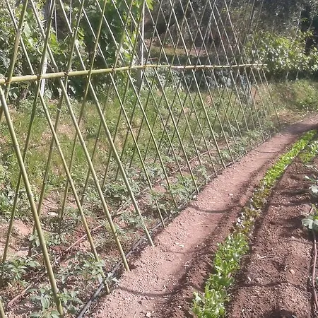 La Fattoria Di Nonna Eugenia Lerici