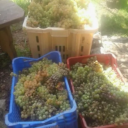 Nocleg ze śniadaniem La Fattoria Di Nonna Eugenia Lerici