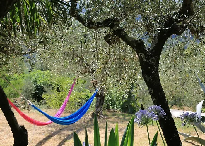 Bed & Breakfast La Fattoria Di Nonna Eugenia Lerici