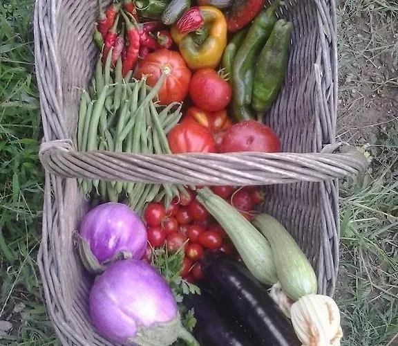 Bed and Breakfast La Fattoria Di Nonna Eugenia