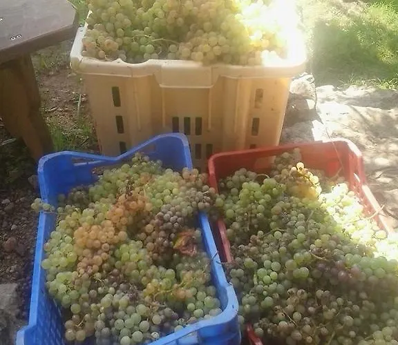 Bed and Breakfast La Fattoria Di Nonna Eugenia Lerici